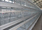 Ocynkowane automatyczne klatki dla kur o dużej pojemności dla 160 kurcząt